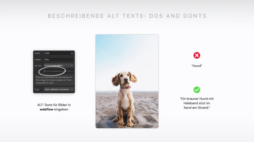 Wie du beschreibende Alternativtexte für Bilder formulierst, damit Screenreader wertvolle Informationen für User liefern können